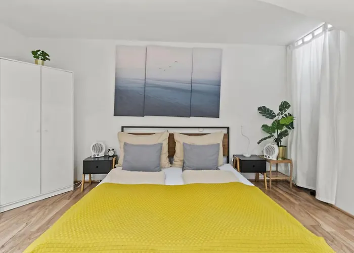 Cozy Basement Near Belvedere *